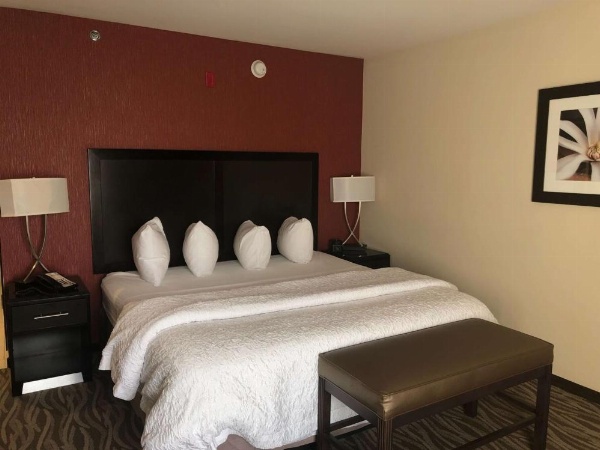 Hampton Inn By Hilton Augusta/Gordon Highway image 13